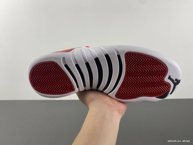 Rep 130690-600 Jordan 12 Alternate Air 0811